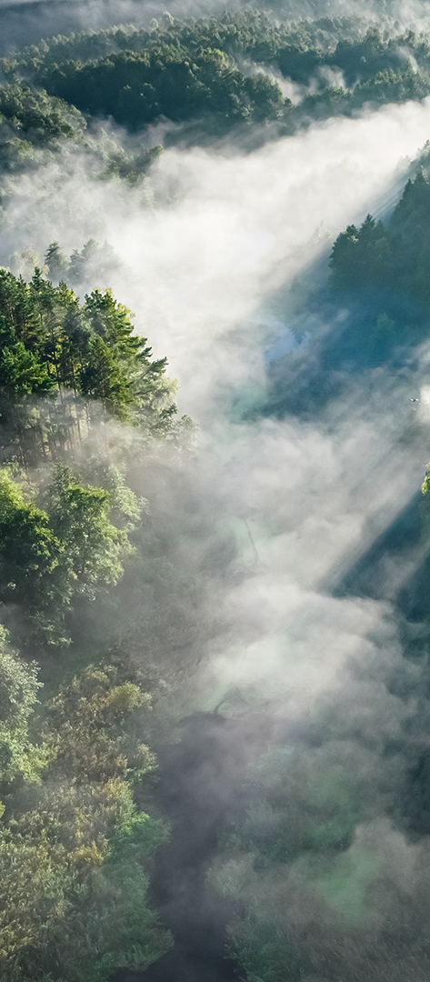 CONSULTING - INTEGRATED SUSTAINABILITY SERVICES_5-416-9